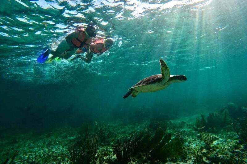 Puerto Morelos: Snorkeling Guided Activity - The short boat ride to the first reef