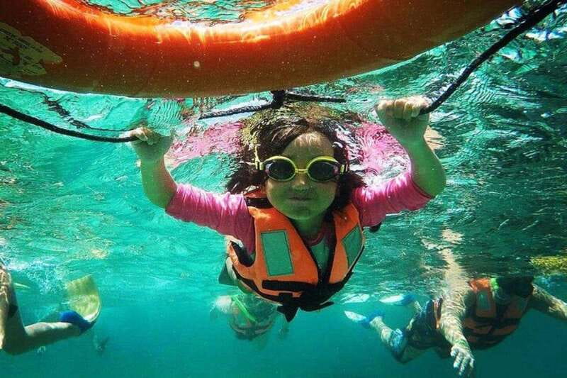 Puerto Morelos: Snorkeling Guided Activity - Marine life: exciting possibilities, no guarantees