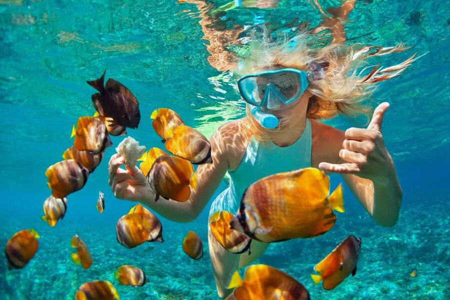 Puerto Plata: Catamaran Snorkeling Trip w/ Buffet & Open Bar - Swimming and Lunch at Anchor in Sosúa