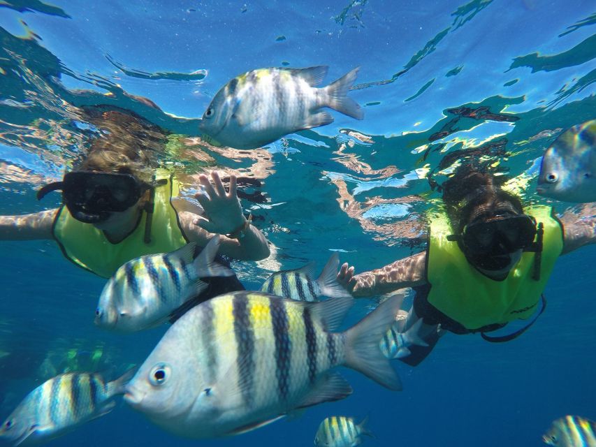 Puerto Plata: Catamaran Snorkeling Trip w/ Buffet & Open Bar - The Crew, Languages, and Onboard Mood