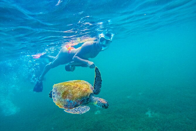 Puerto Rico Jet Snorkel with Turtles and Videos in San Juan - The first 15 minutes: briefing and gear fitting