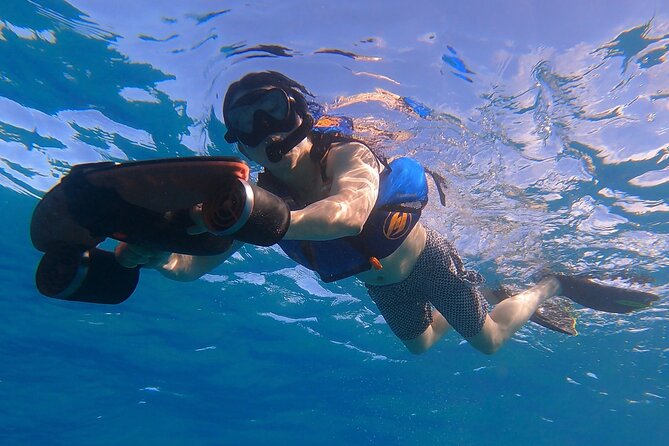 Puerto Rico Jet Snorkel with Turtles and Videos in San Juan - Water visibility, seaweed, and weather concerns