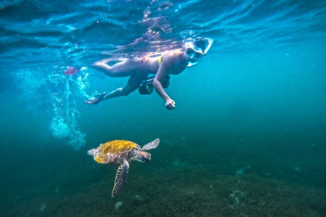 Puerto Rico Jet Snorkel with Turtles and Videos in San Juan - Riding the jet snorkel through the turtle bay