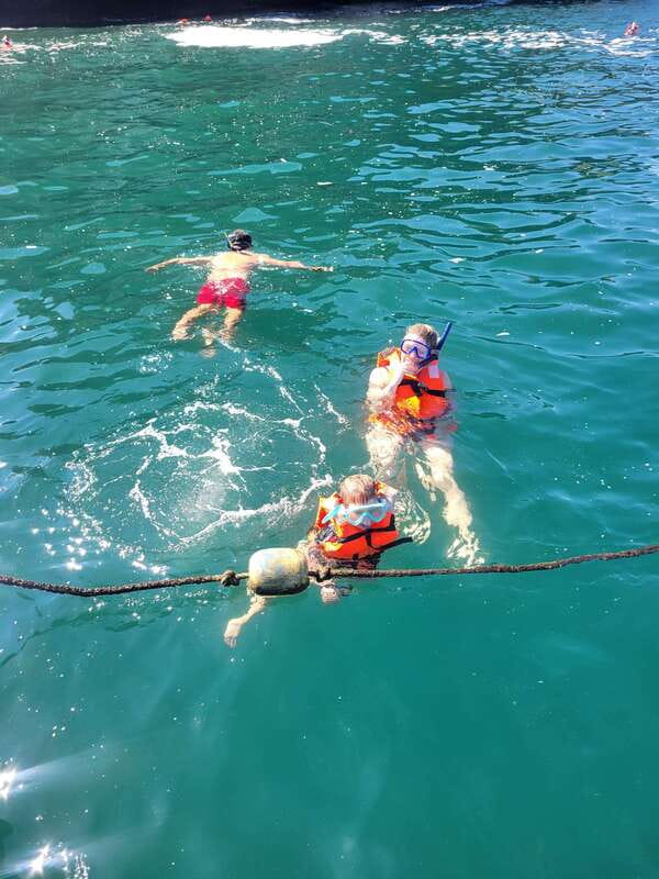 Puerto Vallarta: 3-Hour Whale Watching and Snorkeling - Leaving the Marina for Banderas Bay