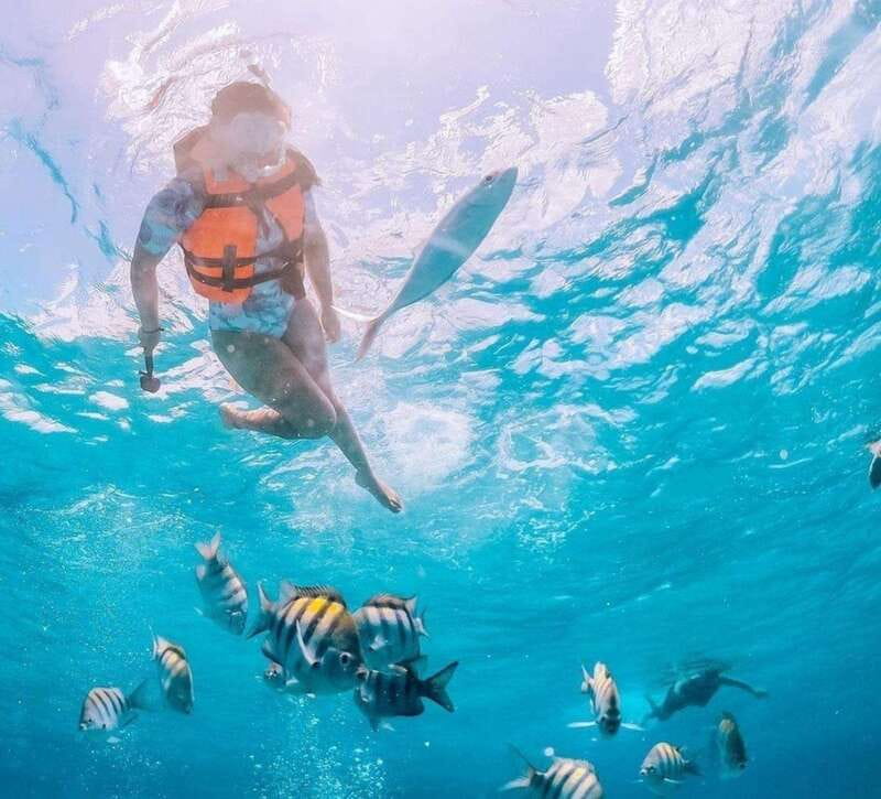 Puerto Vallarta: Los Arcos Islands Boat Tour and Snorkeling - Guides who make the difference