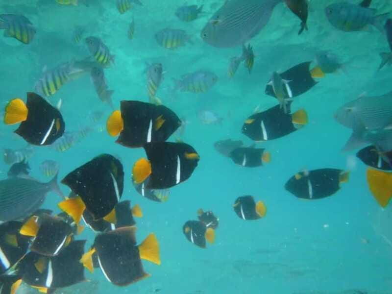 Puerto Vallarta: Los Arcos Snorkel & Beach Private Boat Tour - Secluded beaches and the ride back
