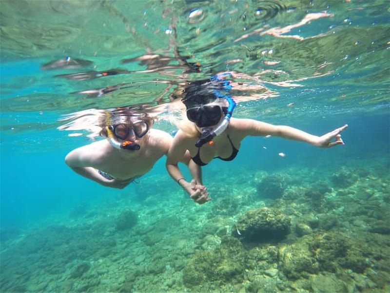Pula: Cave Kayak Tour, Snorkeling and Island Jumping - The cave and its pigeon colony