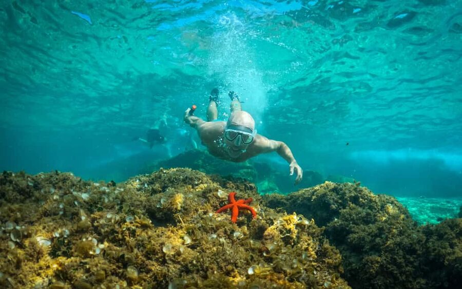 Pula: Kayaking,Snorkeling, Cliff jumping Tour with Wetsuit - Starting at Zelenika Beach in Pula
