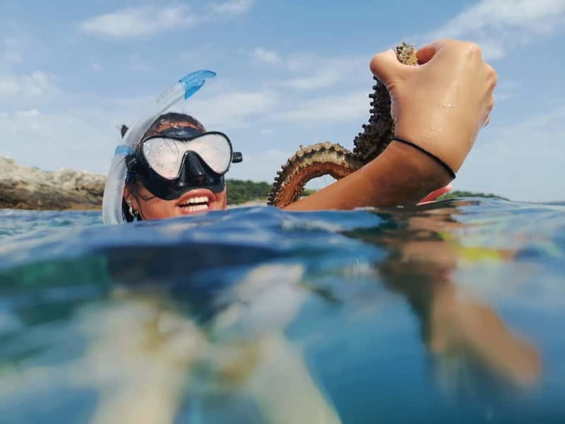 Pula: Sea Adventure – Boat, Kayak, Snorkeling & Cliff Jumps - Why the boat ride changes the whole Pula kayak experience