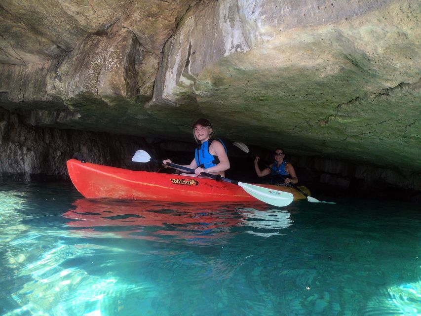 Pula: Sea Adventure – Boat, Kayak, Snorkeling & Cliff Jumps - Dolphins, cormorants, and what you might see