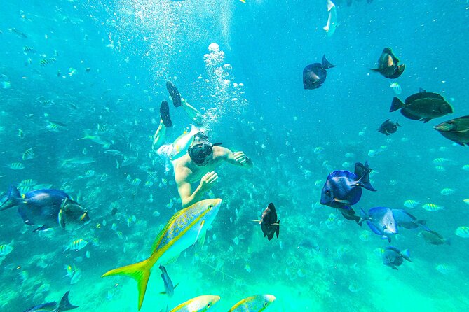 Punta Cana Exclusive Adults-Only Snorkel with Food and Drinks - Key details before you book