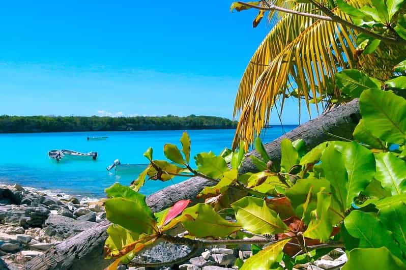 Punta Cana or La Romana: Catalina Island Tour and Snorkeling - Who should book this Catalina day?