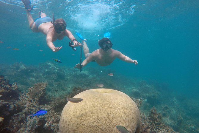 Punta Cana Private Cruise Up To 10 Snorkeling & Seafood lunch - Quick takeaways for your day on the water