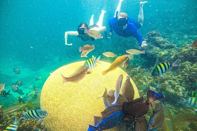 Punta Cana Private Cruise Up To 10 Snorkeling & Seafood lunch - Pickup and the first run toward Cape Engano