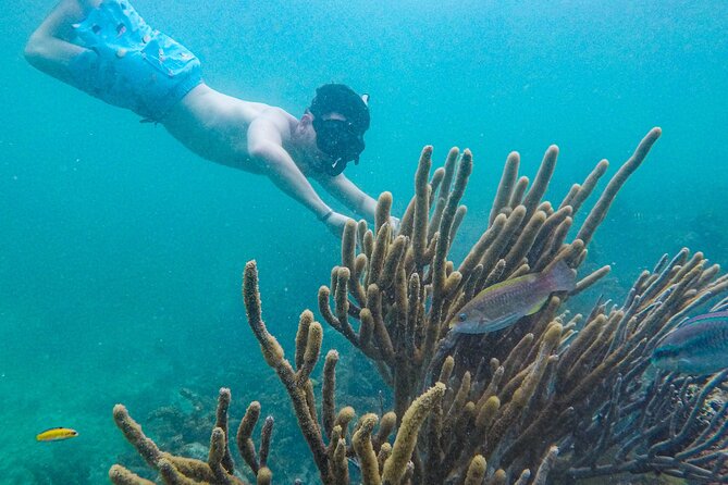 Punta Cana Private Cruise Up To 10 Snorkeling & Seafood lunch - The beach beside Bavaro Lagoon