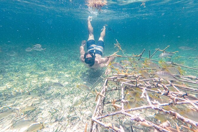 Punta Cana Private Cruise Up To 10 Snorkeling & Seafood lunch - The crew makes or breaks the day