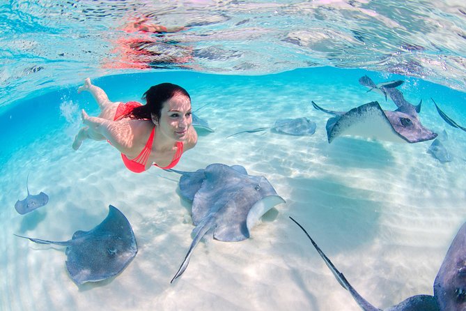 Punta Cana Private Virgen Beach Small & Big Group Snorkel Cruise - Punta de los Nidos, the quiet beach stop