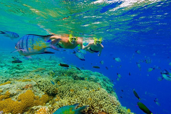 Punta Cana Snorkeling Cruise and Dune buggy Combo Adventure - Snorkeling near Cabeza de Toro