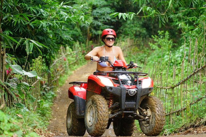 Quad Bike Ride and Snorkeling at Blue Lagoon Beach All-inclusive - How the $75 price compares with the day you receive