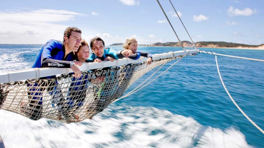 Queenscliff Harbour: 3.5hr Seal & Dolphin Snorkelling Tour - Why this Queenscliff trip is worth your time