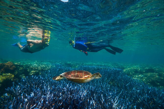 Quicksilver Great Barrier Reef Snorkel Cruise from Port Douglas - Leaving Port Douglas on the 90-minute catamaran