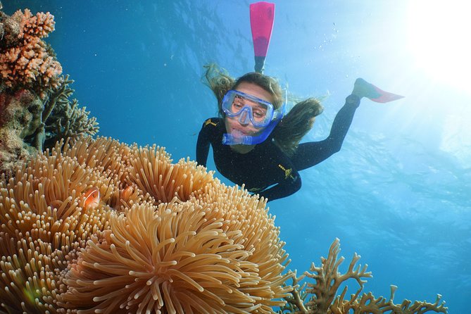 Quicksilver Great Barrier Reef Snorkel Cruise from Port Douglas - Optional Ocean Walker and scuba sessions
