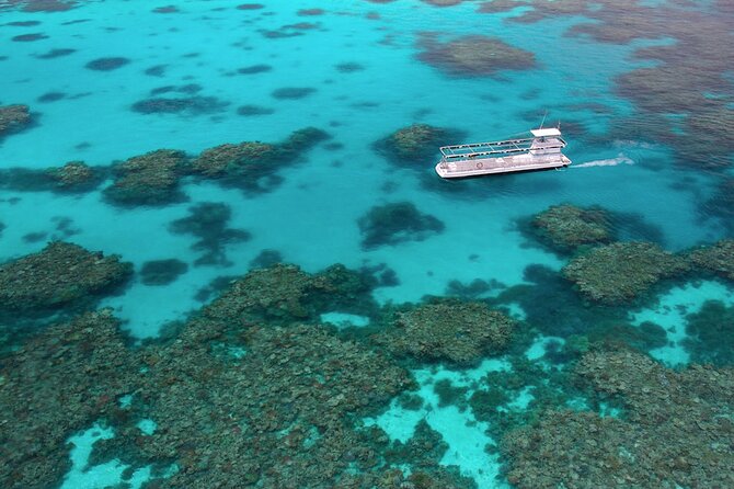 Quicksilver Great Barrier Reef Snorkel Cruise from Port Douglas - Crew, safety, and crowd levels