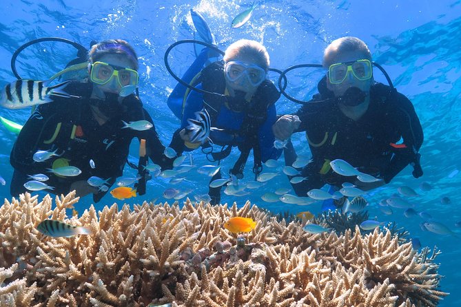Quicksilver Great Barrier Reef Snorkel Cruise from Port Douglas - Who should book this reef cruise?