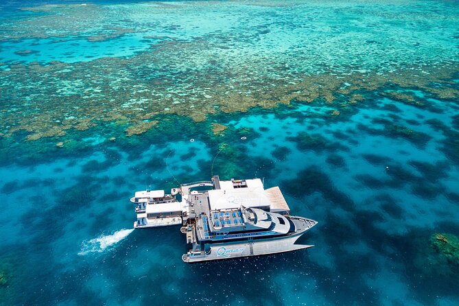 Quicksilver Great Barrier Reef Snorkel Cruise from Port Douglas - Snorkeling for confident and nervous swimmers
