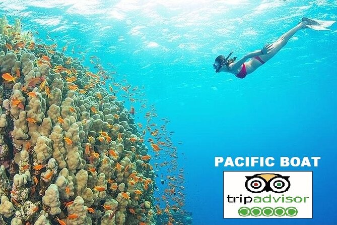 REAL snorkel &island hopping by SPEEDBOAT-EXPLORE CUISINES(MAX12) - Vietnamese food after the islands