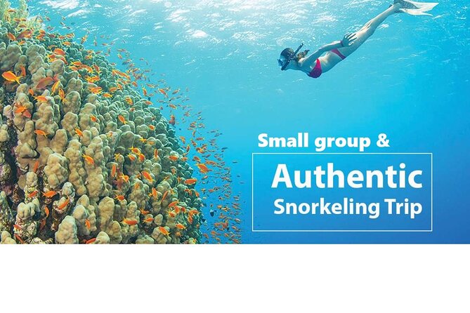 REAL snorkel &island hopping by SPEEDBOAT-EXPLORE CUISINES(MAX12) - Kim Quy Island and the first reef