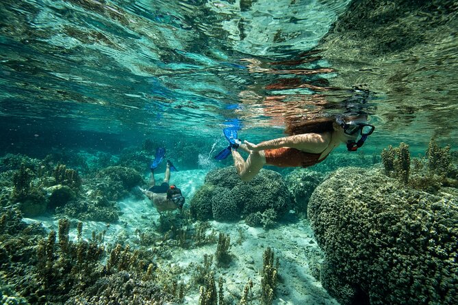 Reef Discovery Luxury Private Snorkeling Lagoon Tour - A guide who makes the experience personal