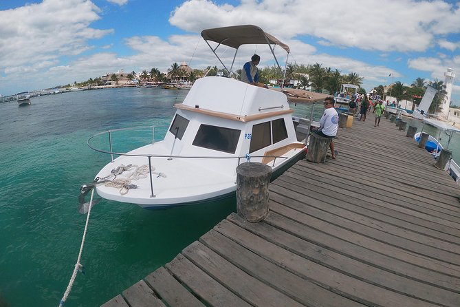 Reef Snorkel In National Park In Puerto Morelos With Lunch And Transportation - What you may see in the National Reef Park