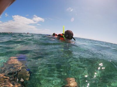 Reef Snorkel In National Park In Puerto Morelos With Lunch And Transportation