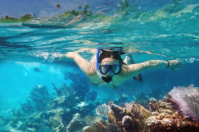 Reef Snorkel In National Park In Puerto Morelos With Lunch And Transportation - Lunch at the beach club