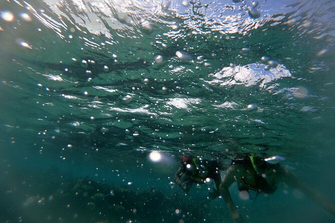Reef Snorkel In National Park In Puerto Morelos With Lunch And Transportation - A short look at Puerto Morelos