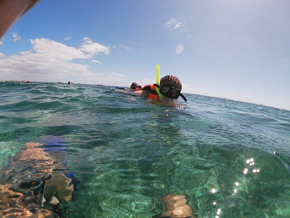 Reef Snorkel In National Park In Puerto Morelos With Lunch And Transportation - Hotel pickup can save money, but not always time