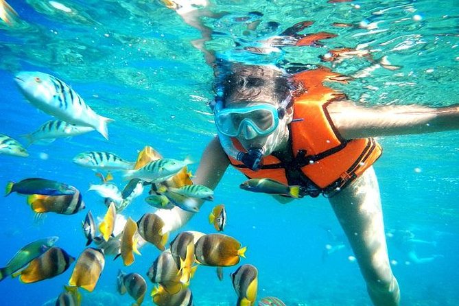 Reef Snorkeling in National Park from Cancun with Beachside Lunch - From Cancun hotels to Puerto Morelos