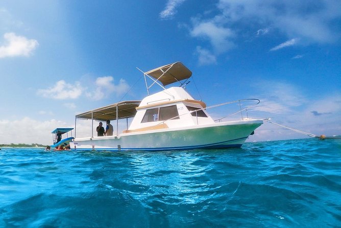 Reef Snorkeling in National Park from Cancun with Beachside Lunch - Who should book this snorkeling trip?