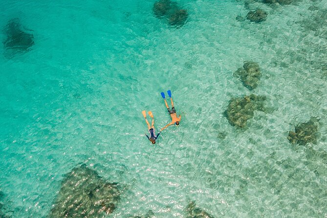 Ride & Slide by South Sea Cats - Half Day Snorkelling Trip - The giant slide and easy-access steps