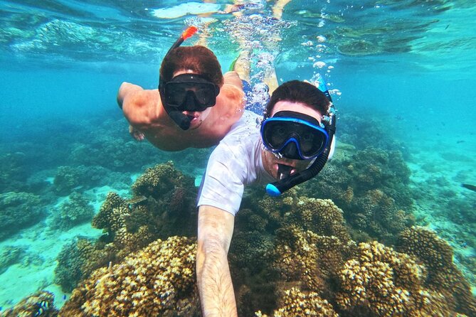 Ride & Slide by South Sea Cats - Half Day Snorkelling Trip - Is $108 good value?