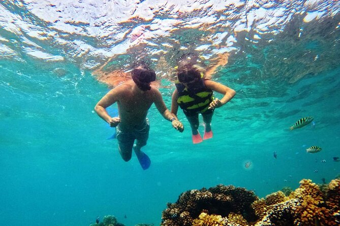 Ride & Slide by South Sea Cats - Half Day Snorkelling Trip - Who should book Ride & Slide?