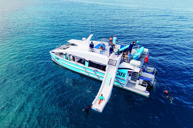 Ride & Slide by South Sea Cats - Half Day Snorkelling Trip - Snorkelling the tropical reefs