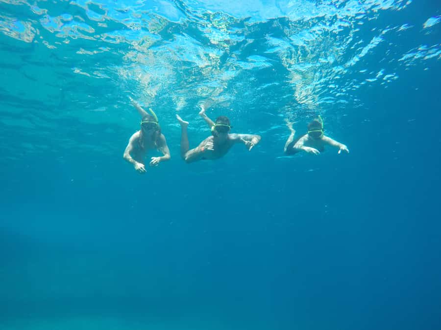 Rio: Snorkel & Swim with Turtles Tour at Tijuca Islands - Key points to know before you go