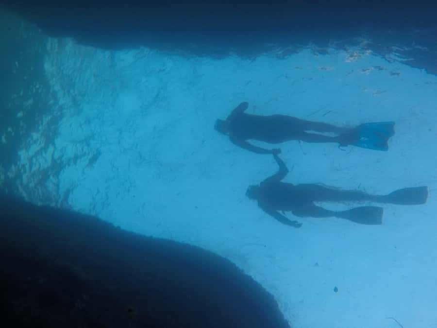 Rio: Snorkel & Swim with Turtles Tour at Tijuca Islands - One hour of snorkeling around the islands