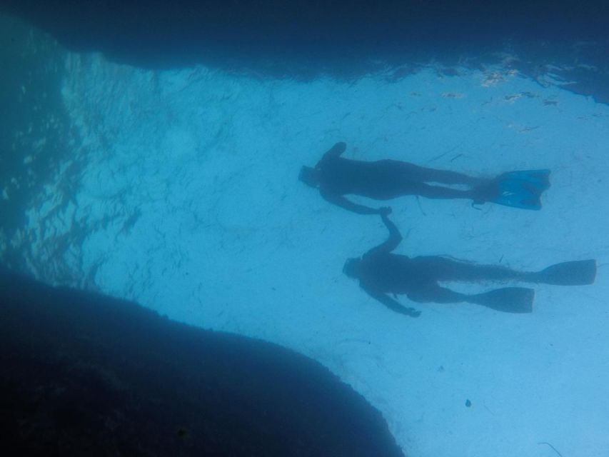 Rio: Snorkel & Swim with Turtles Tour at Tijuca Islands - Who will enjoy this Rio water outing