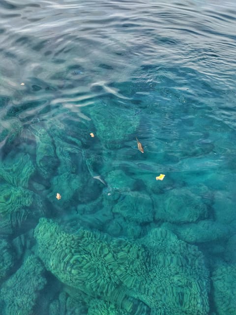 Riomaggiore: Cinque Terre Daytime Cruise with Snorkeling - Is $158.60 a fair price?