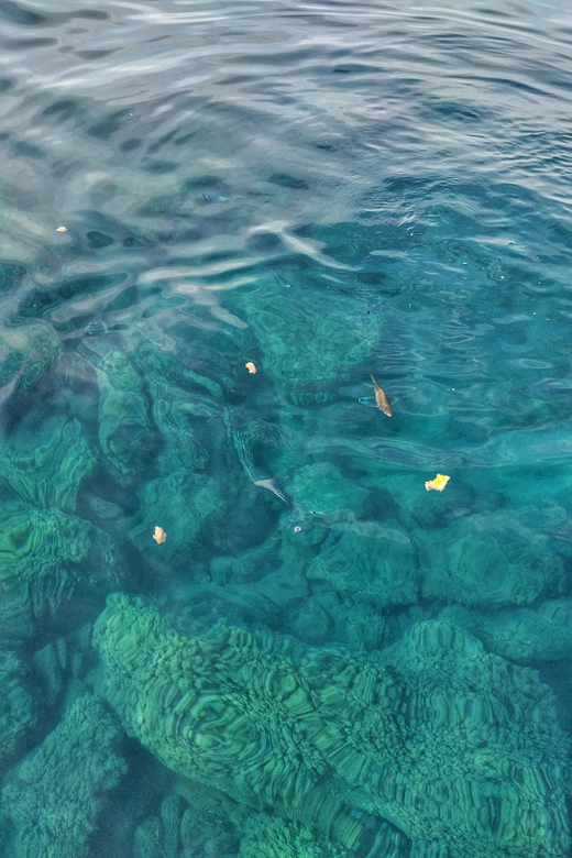 Riomaggiore: Cinque Terre Daytime Cruise with Snorkeling - Why the sea view changes Cinque Terre