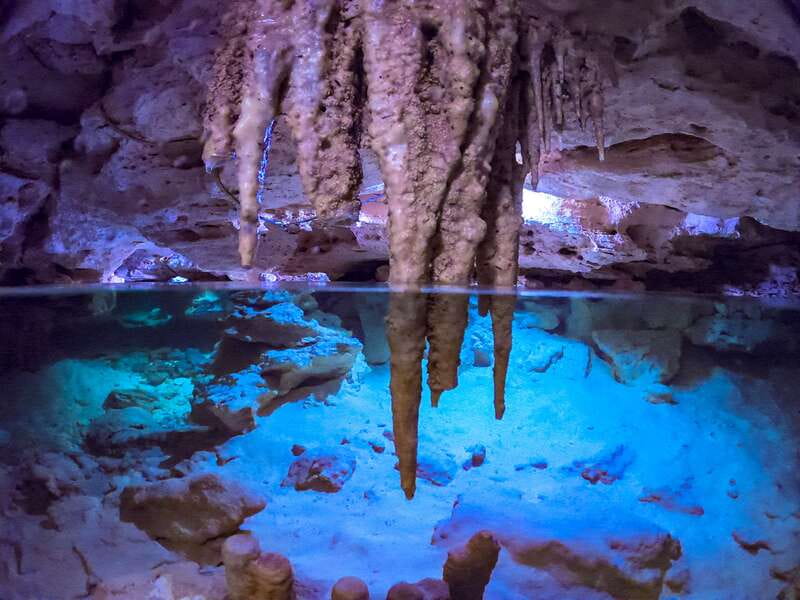 Riviera Maya: Kantun Chi Cenotes, Snorkel & Jungle Hiking - Five Cenotes, Five Different Views