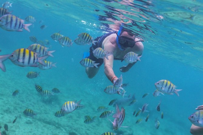 Riviera Maya Luxury Snorkeling Cruise with Lunch and Drinks - Paddleboards, water mats, and the second stop